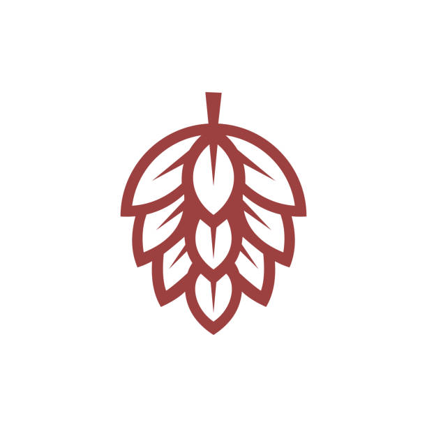 Hop emblem icon label logo. Vector illustration. Hop emblem icon label logo. Vector illustration. craft beer stock illustrations