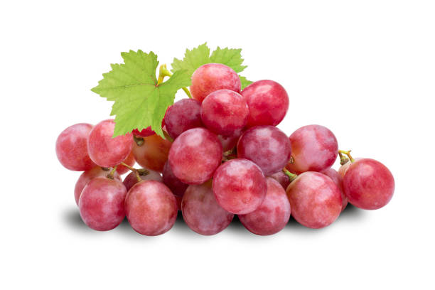 красный виноград, выделенный на белый - красный виноград стоковые фото и изображения
