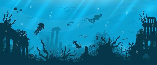 Nature vector illustration. Underwater marine wildlife.
