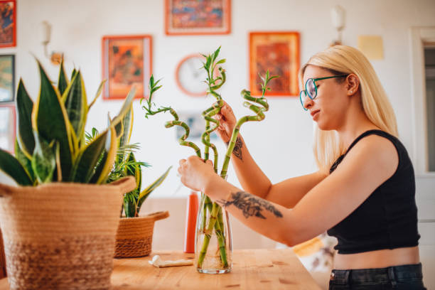 istock Woman Cares For Lucky Bamboo 1330487377