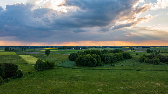 Field with trees landscape from aerial in sunset light, Podlasie Voivodeship, Poland, Europe