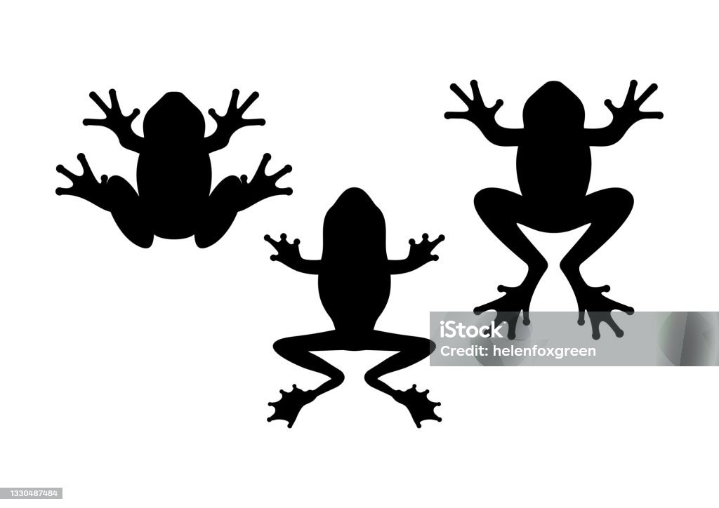 Frog silhouette. Tailless amphibians, top view. Frog stock vector