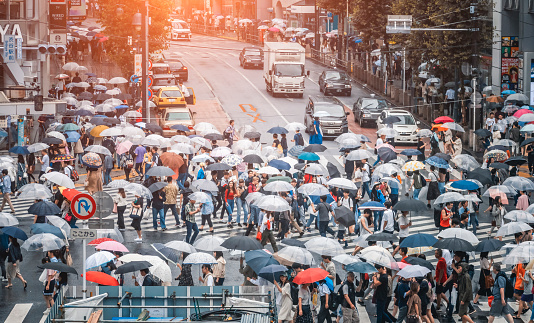 people walking under umbrellas during a rainy day in shibuya