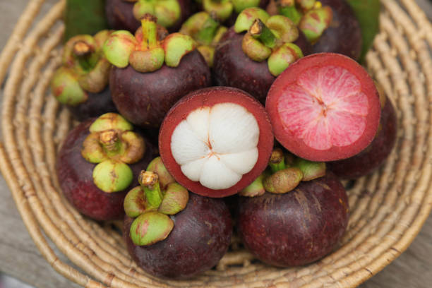 istock mangosteen , Mangosteen in Southern Thailand 1330490196