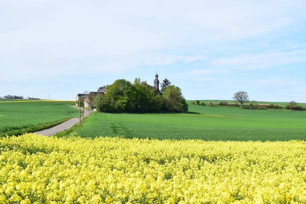 istock pilgrim church Fraukirch in spring landscape 1330490983
