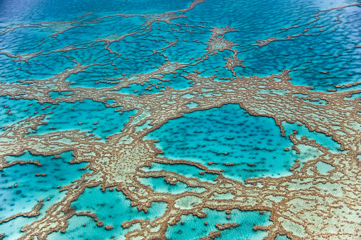 Aerial view of Whitsunday Islands Coral Reef of Queensland from the aircraft