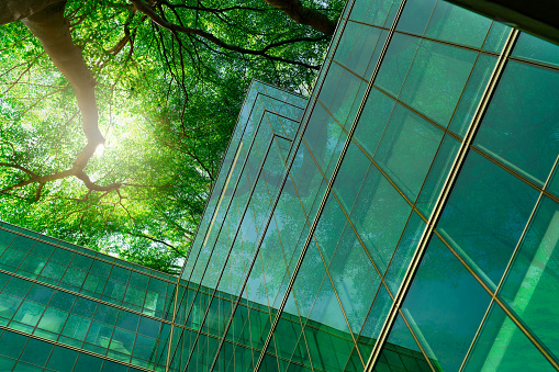 Edificio ecológico en la ciudad moderna. Ramas de árboles verdes con hojas y construcción de vidrio sostenible para reducir el calor y el dióxido de carbono. Edificio de oficinas con entorno verde. Ir concepto verde. photo