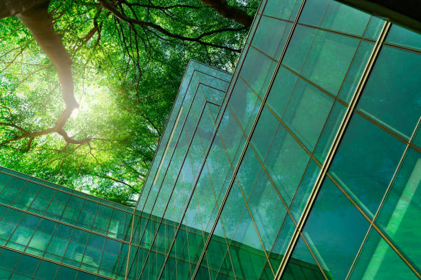eco-friendly building in the modern city. green tree branches with leaves and sustainable glass building for reducing heat and carbon dioxide. office building with green environment. go green concept. - groene kleuren fotos stockfoto's en -beelden