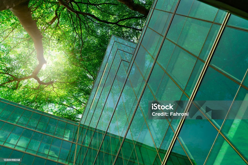 Eco-friendly building in the modern city. Green tree branches with leaves and sustainable glass building for reducing heat and carbon dioxide. Office building with green environment. Go green concept. Sustainable Resources Stock Photo