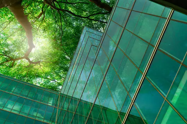 Photo of Eco-friendly building in the modern city. Green tree branches with leaves and sustainable glass building for reducing heat and carbon dioxide. Office building with green environment. Go green concept.