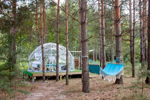 tenda campana trasparente nella foresta, glamping, viaggi di lusso, campeggio glamour, stile di vita all'aperto - tenda igloo foto e immagini stock