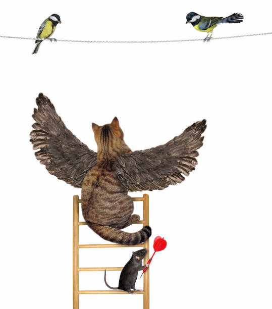 istock Cat with wings hunts birds 2 1330504193