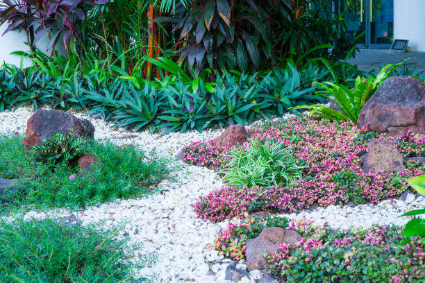 Beautiful small gravel garden, decorated with white shell, brown stone, colorful ground cover plant and green shrubs stock photo