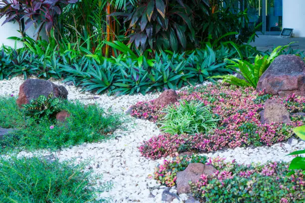 Photo of Beautiful small gravel garden, decorated with white shell, brown stone, colorful ground cover plant and green shrubs