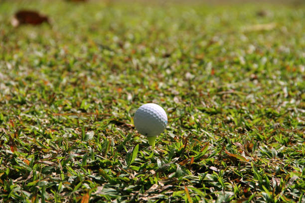 istock Golf ball on green in the evening golf course 1330506527