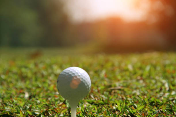istock Golf ball on green in the evening golf course 1330506536