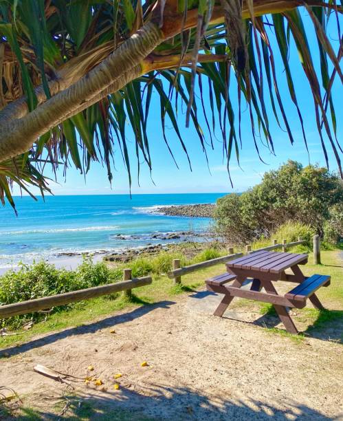 vue sur la plage sous un arbre pandanus. donnant sur la table de pique-nique, les rondins d’herbe verte et l’océan bleu. angourie nsw australie - yamba photos et images de collection