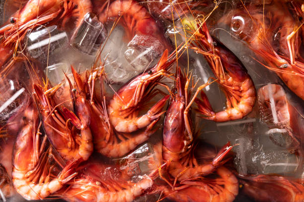 frische rote garnelen meeresfrüchte aus dem mittelmeer im eis vollrahmen - shrimp prepared shrimp prawn prepared prawn stock-fotos und bilder
