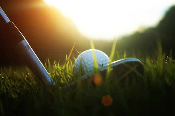 golfclub und golfball hautnah im rasenfeld mit sonnenuntergang. - golf green practicing sports training stock-fotos und bilder
