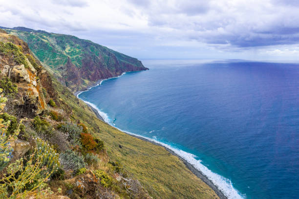 istock Aerial Madeira island view with Atlantic ocean, white waves, cliffs and nature 1330510907