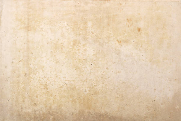 istock old blank paper or wall texture background in white color or beige 1330513299