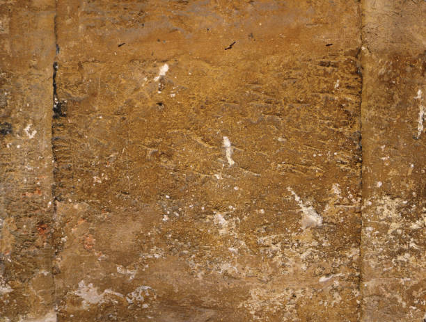 Free picture: A dirty yellowish brown stone, a texture of brownish surface