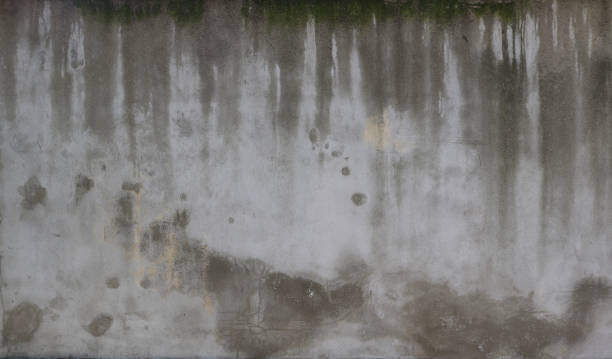 平らな表面と水分と暗い水のマンネリの質感を持つセメントの古い灰色の壁 - 背景のための汚いと不気味なパターン - moistness ストックフォトと画像
