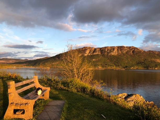 Loch Carron golden hour stock photo
