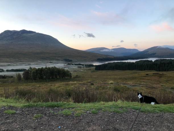 Early morning light over Loch Tulla stock photo