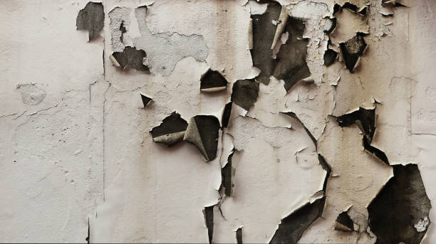 istock old dirty white wall with peeling paint - rough dirty texture for a background 1330514809