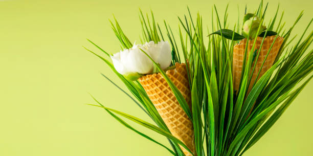 istock Two natural waffle cones with white peony flower on a green background. Festive creative concept for birthday, mother's day, valentine's day. Copy space 1330514932