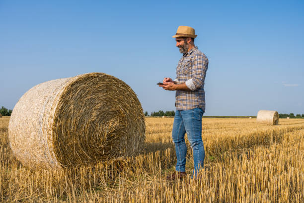istock Bales of hay 1330516373