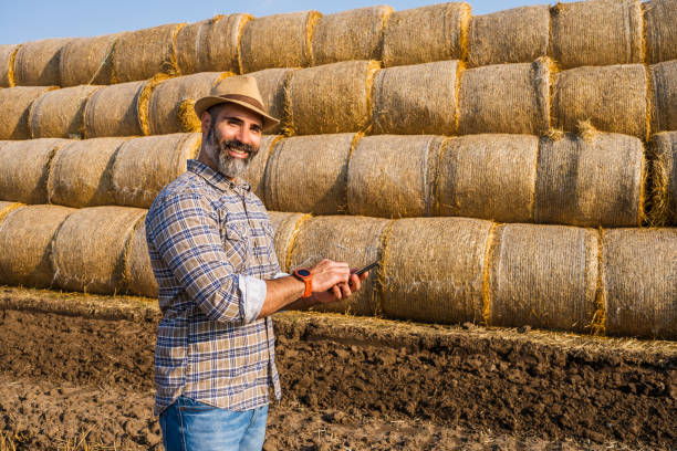 istock Bales of hay 1330516386