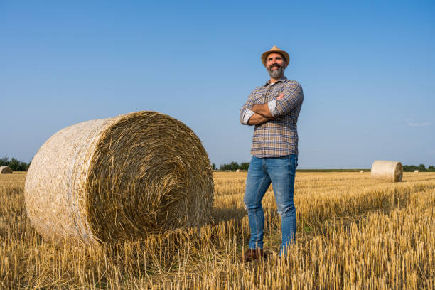 istock Bales of hay 1330516414