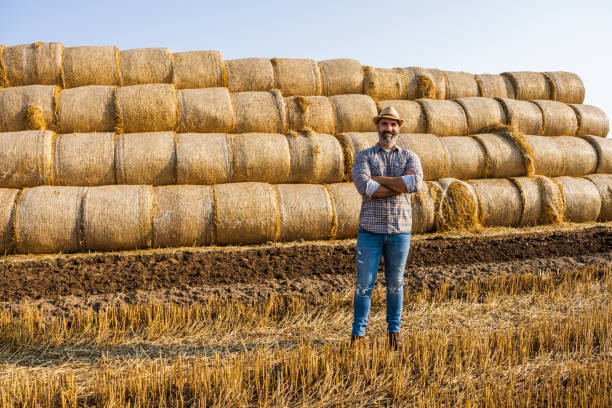 istock Bales of hay 1330516415