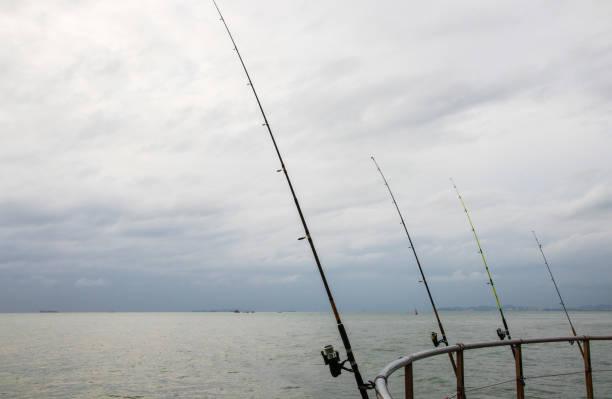 istock Fishing rod at the Sea 1330520328