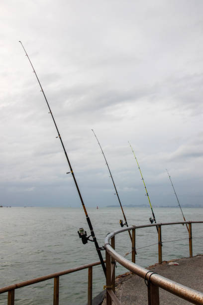 istock Fishing rod at the Sea 1330520337