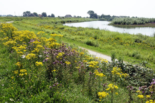 Landscape of nature reserve Tiengemeten Zuid-Holland tiengemeten stock pictures, royalty-free photos & images