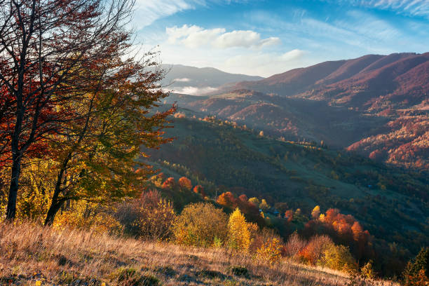 istock mountainous countryside in morning light 1330521694