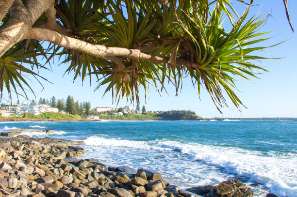 looking out from under a pandanus palm tree over rocks and blue ocean. house on the cliff face. yamba nsw australia - yamba imagens e fotografias de stock
