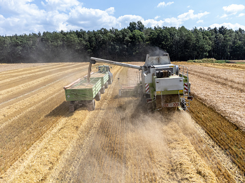 Harvesting a grain field with a combine harvester and tractor