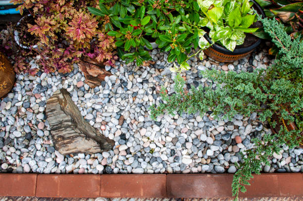 istock White stone floor and ornamental plants 1330525270