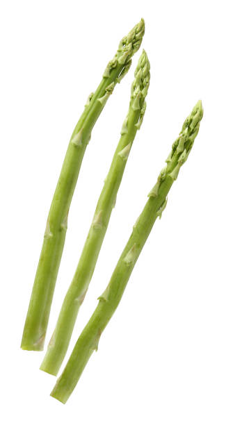 asparago - asparagus foto e immagini stock