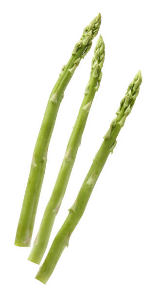 Asparagus Asparagus on a white background eating asparagus stock pictures, royalty-free photos & images