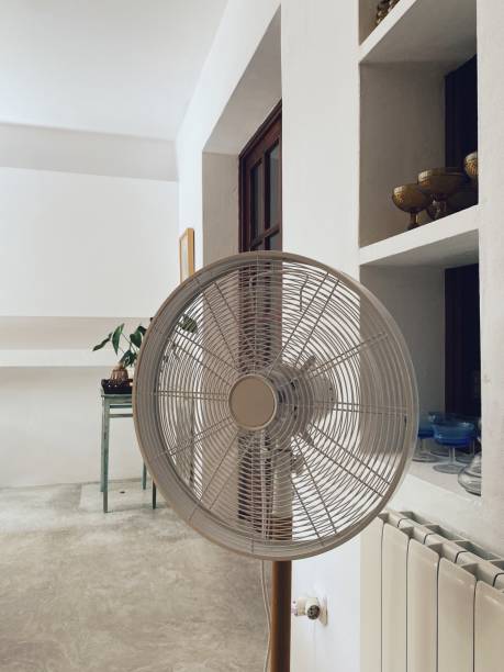 istock Domestic Life 1330533359