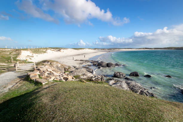 seascape. pies,s bay w słoneczny dzień. galway. irlandia - bay zdjęcia i obrazy z banku zdjęć