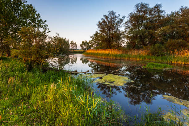 istock Sunset over Warta river in Warta Landscape Park, Poland. 1330537143