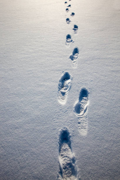 istock footprints on snowdrifts after walking 1330538315