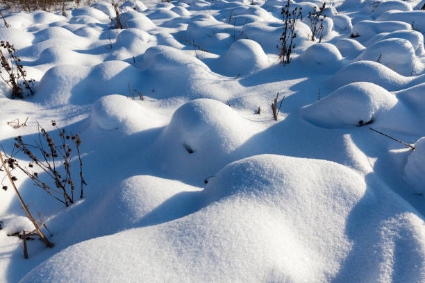 istock grass in large drifts after snowfalls and blizzards, the winter 1330538325