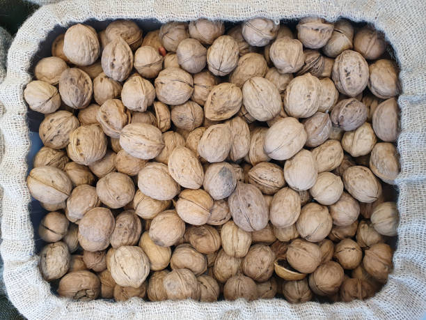 istock Natural Walnuts with shell a lot in farmer shop. Top view 1330538833